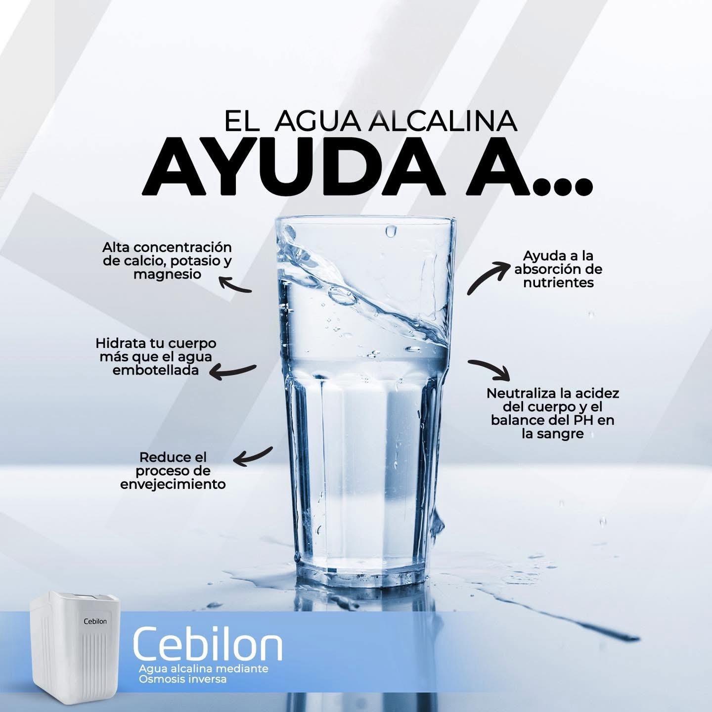 Sistema de purificacion Agua por Osmosis Inversa - Cebilon